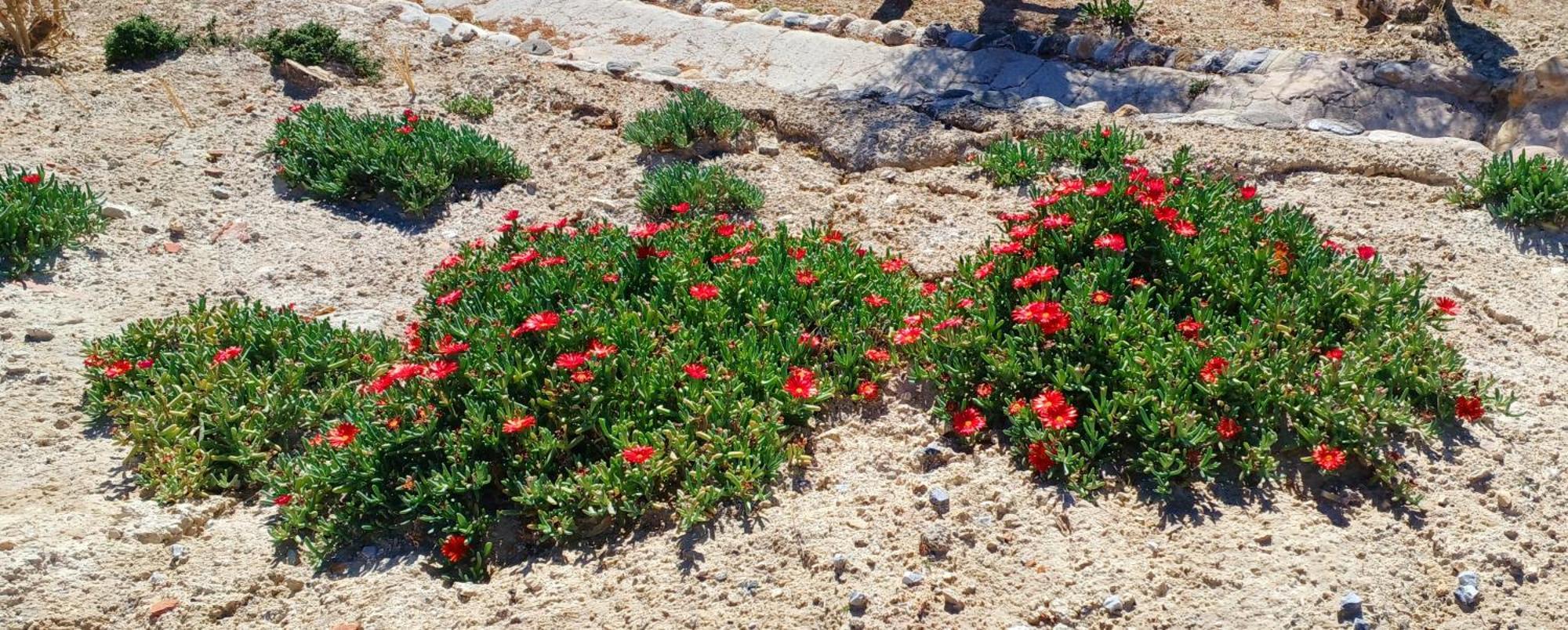 Cuevas Azul Villa Baza Dış mekan fotoğraf